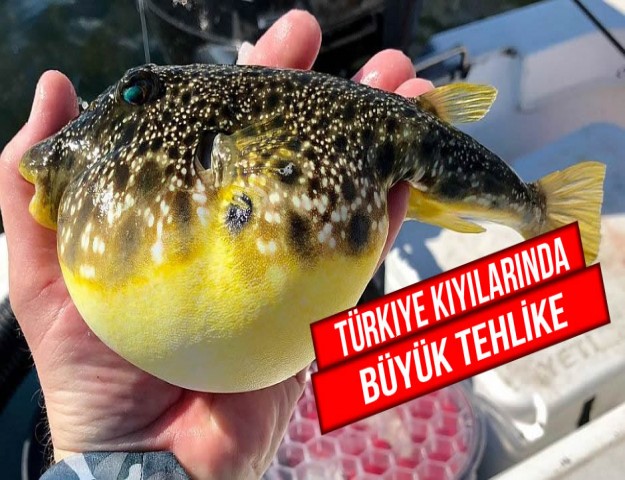 Türkiye Kıyılarında Büyük Tehlike