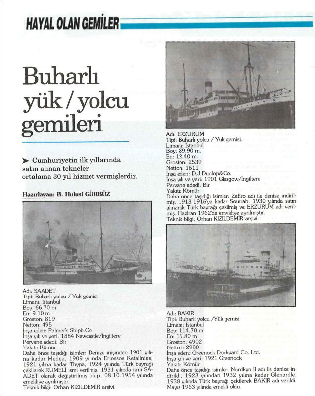 Buharl%C4%B1%20Y%C3%BCk%20Yolcu%20Gemileri(1).jpg
