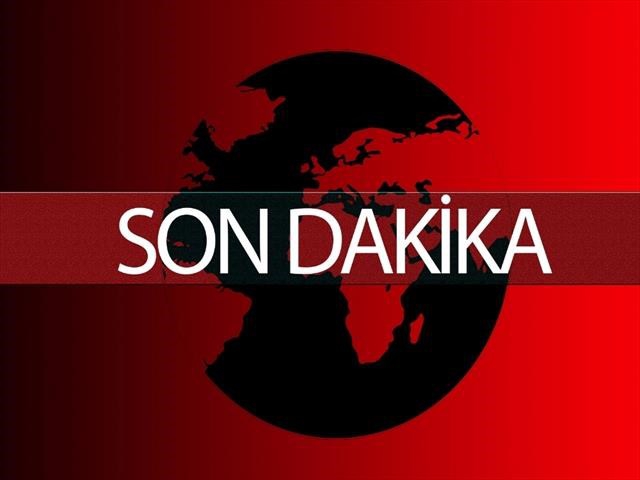DP vorld ,Türkiye anlaşması