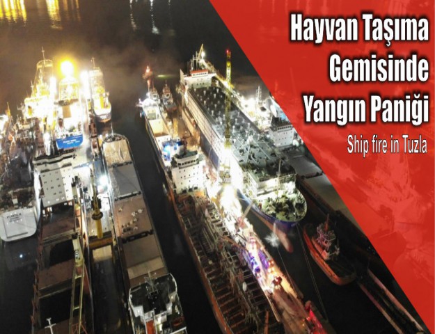 Hayvan Taşıma Gemisinde Yangın Paniği