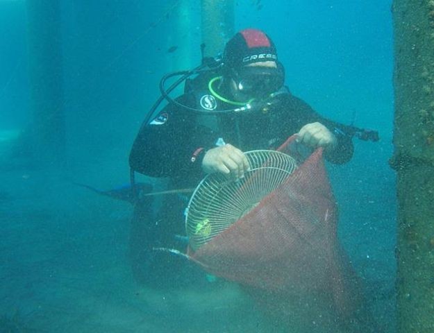 Bodrum'da deniz dibi temizliği