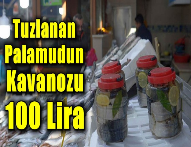 Tuzlanan Palamudun Kavanozu 100 Lira