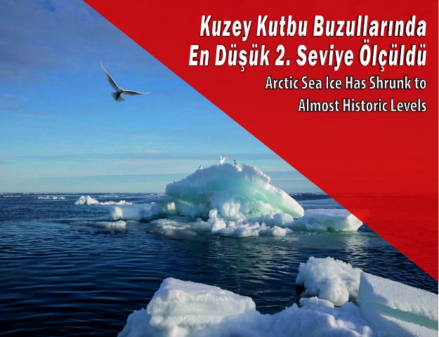 Kuzey Kutbu Buzullarında En Düşük 2. Seviye Ölçüldü