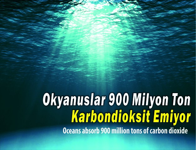 Okyanuslar 900 Milyon Ton Karbondioksit Emiyor