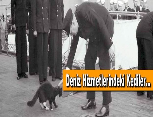 Deniz Hizmetlerindeki Kediler...