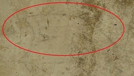 2000 Yıllık Çipura Dikkat Çekiyor