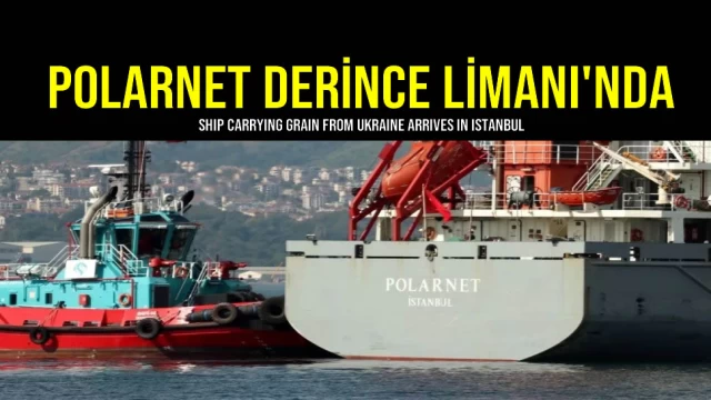 Polarnet Derince Limanı'nda