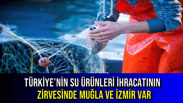 Türkiye’nin Su Ürünleri İhracatının Zirvesinde Muğla ve İzmir Var