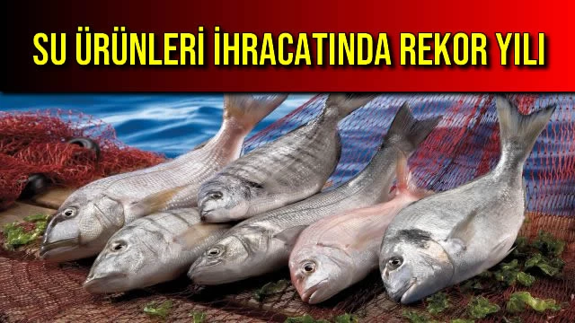 Su Ürünleri İhracatında Rekor Yılı