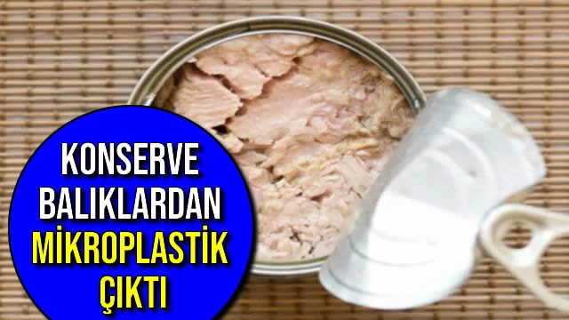 Konserve Balıklardan Mikroplastik Çıktı