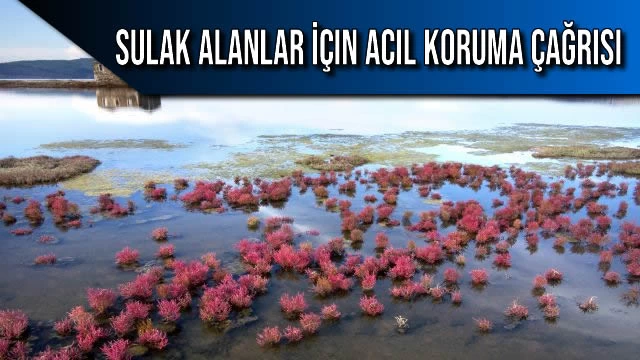 Sulak Alanlar İçin Acil Koruma Çağrısı