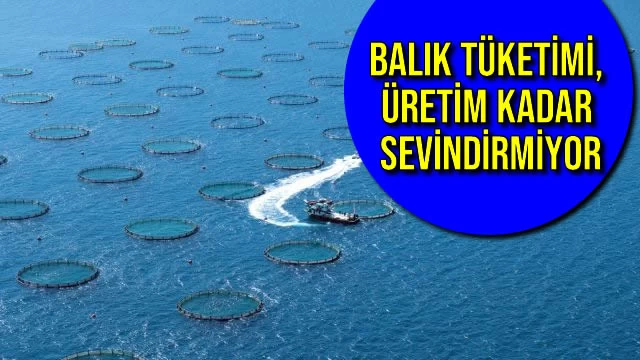 Balık Tüketimi, Üretim Kadar Sevindirmiyor