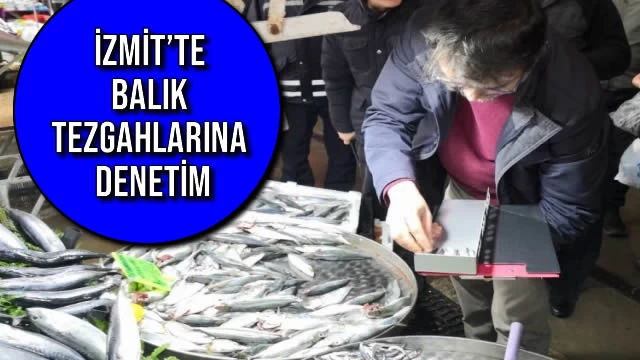 İzmit’te Balık Tezgahlarına Denetim