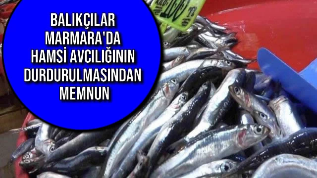 Balıkçılar Marmara'da Hamsi Avcılığının Durdurulmasından Memnun