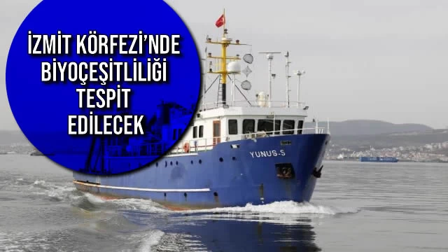 İzmit Körfezi’nde Biyoçeşitliliği Tespit Edilecek