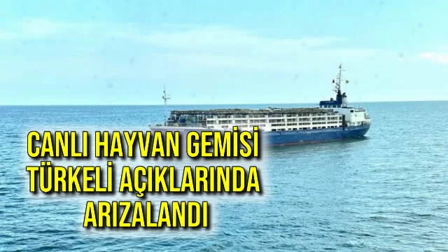 Canlı Hayvan Gemisi Türkeli Açıklarında Arızalandı