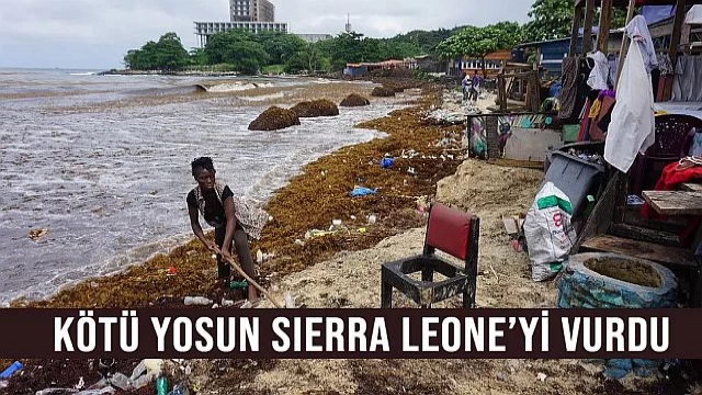 Kötü kokulu yosun Sierra Leone'yi vurdu