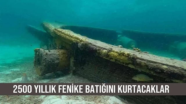 2500 Yıllık Fenike Batığını Kurtarmaya Çalışıyorlar