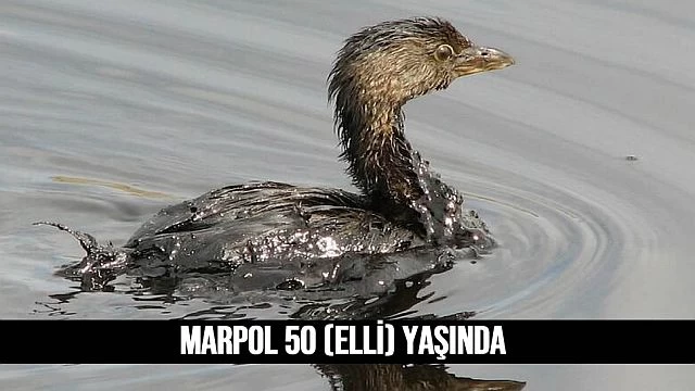 MARPOL 50 yaşında