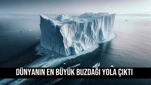 Dünyanın En Büyük Buzdağı yola çıktı