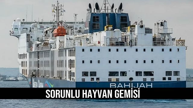 Sorunlu hayvan gemisi