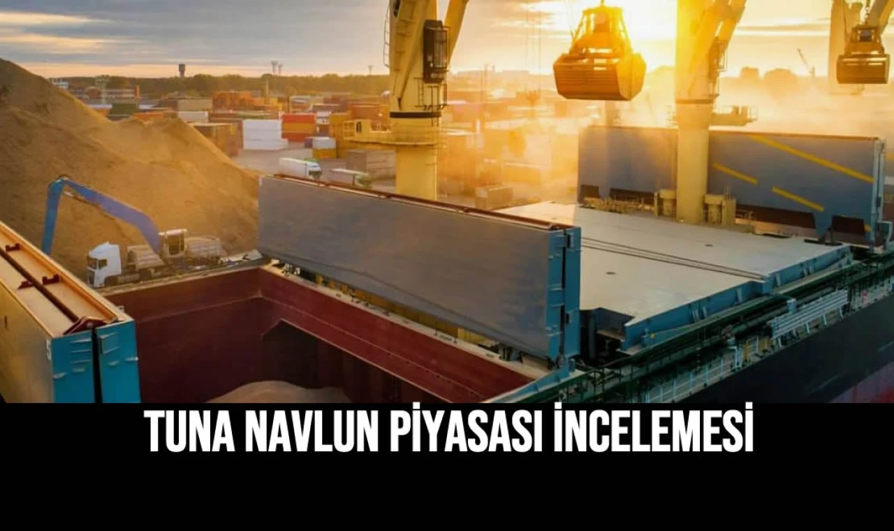 Tuna Navlun Piyasası İncelemesi