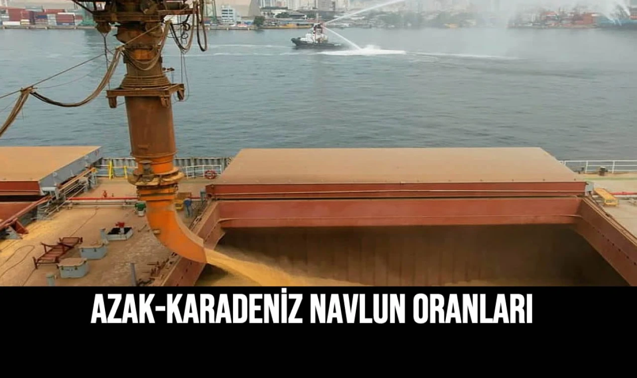 Azak-Karadeniz Navlun Oranları