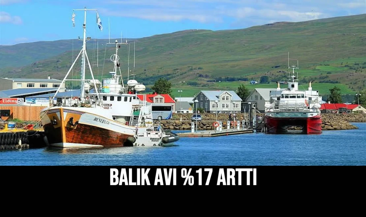 Balık Avı %17 Arttı