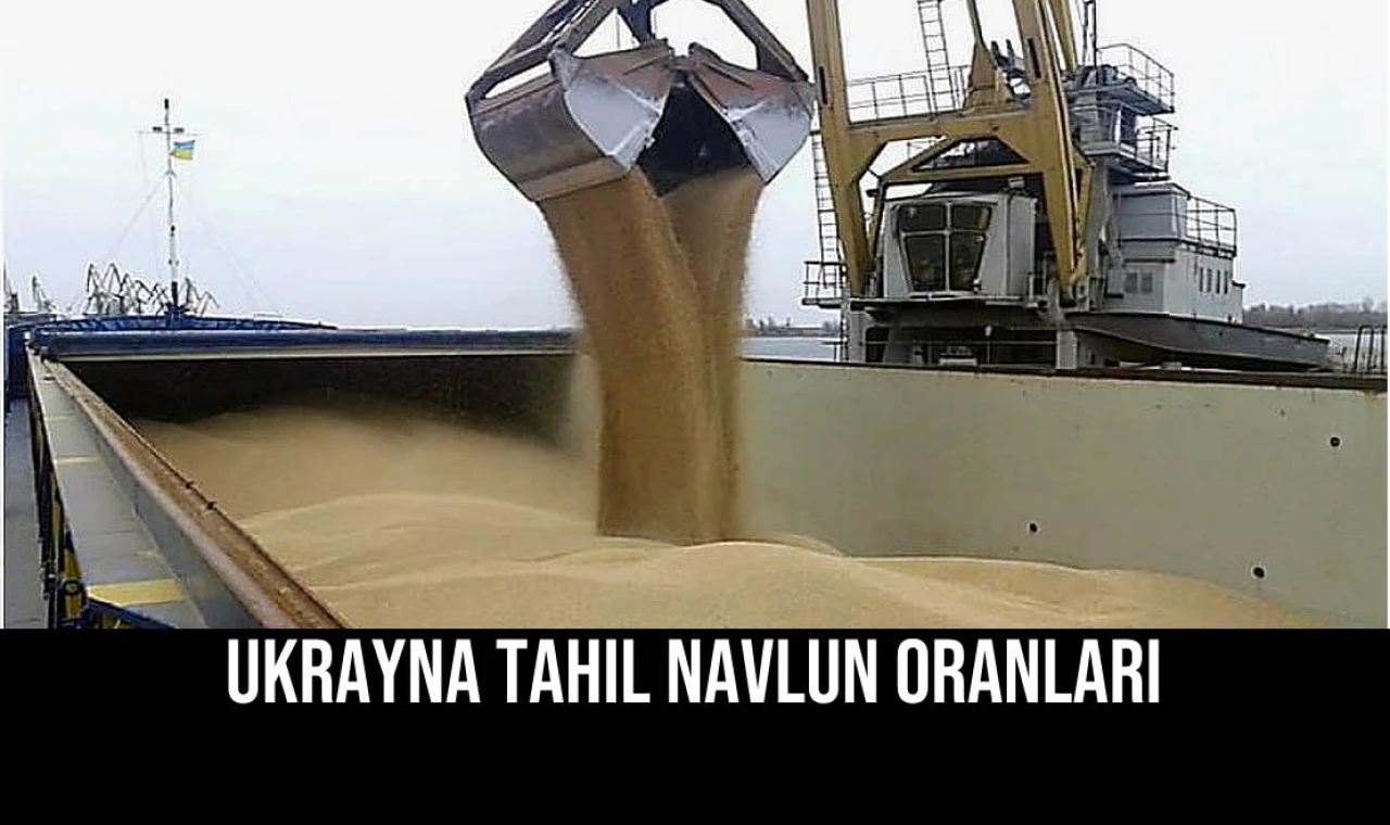 Ukrayna Tahıl Navlun Oranları