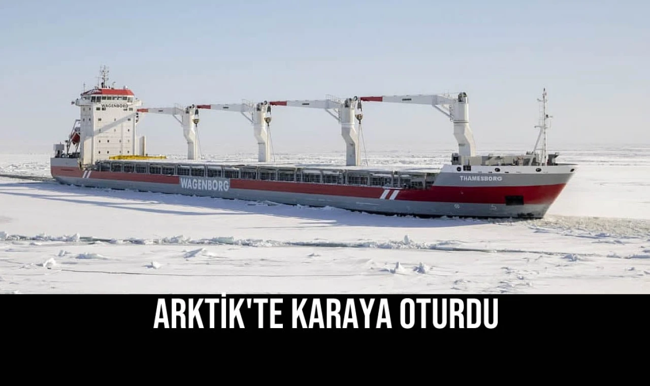 Arktik'te Karaya Oturdu