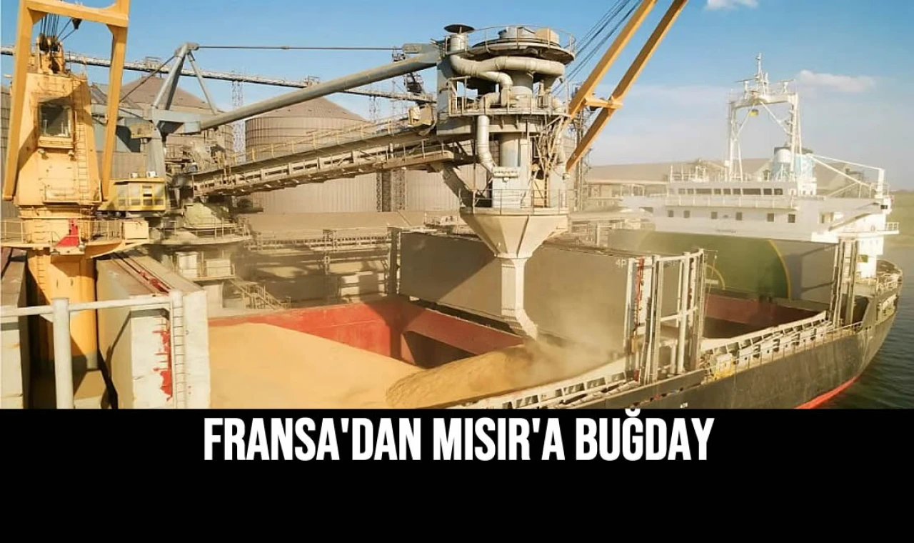 Fransa'dan Mısır'a Buğday