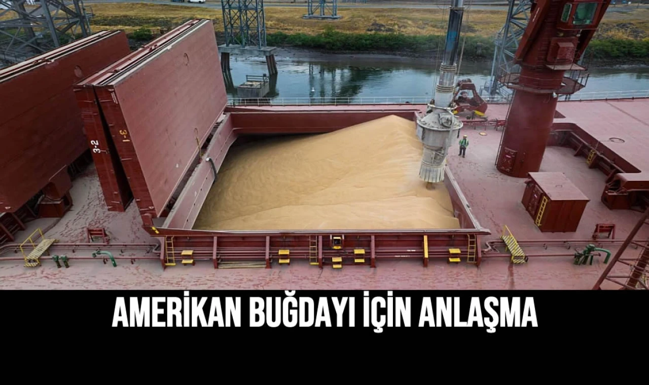 Amerikan Buğdayı İçin Anlaşma