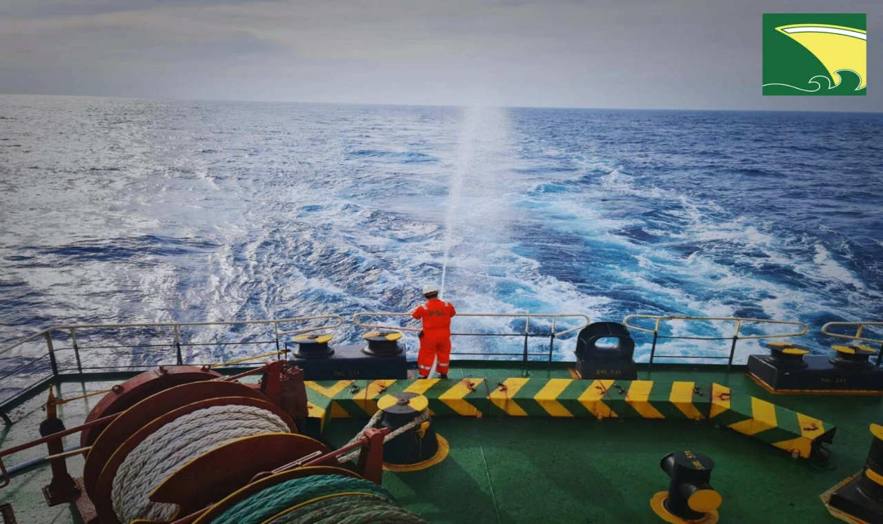 Warisa Naree'nin 9,5 Milyon Dolara Sattı