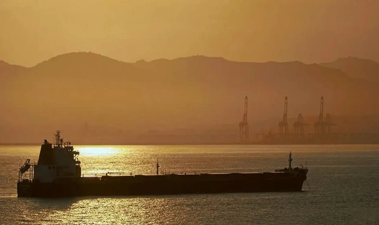 "Gölge Filo" ve Özel Sermaye