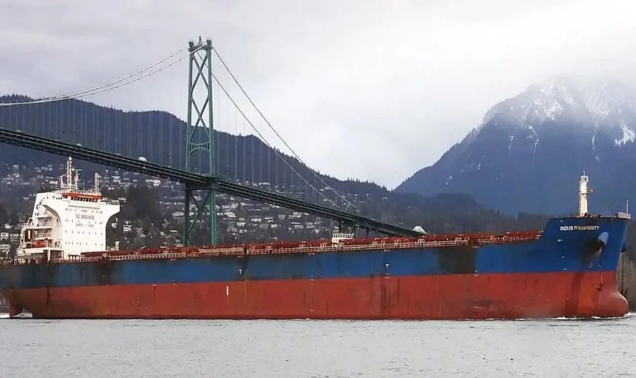 Niş Segmente Giriyor