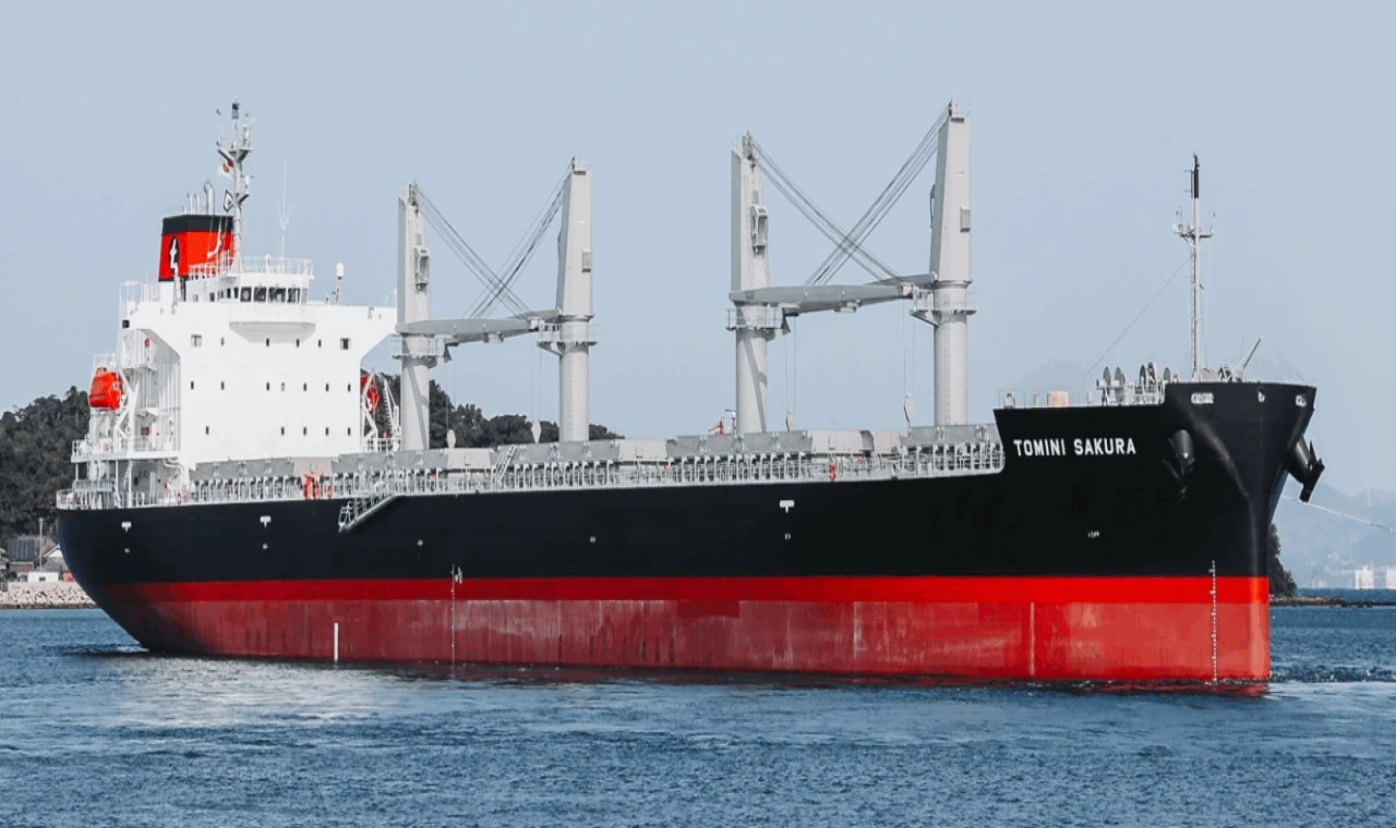 Tomini Grubu Gemi Kiraladı