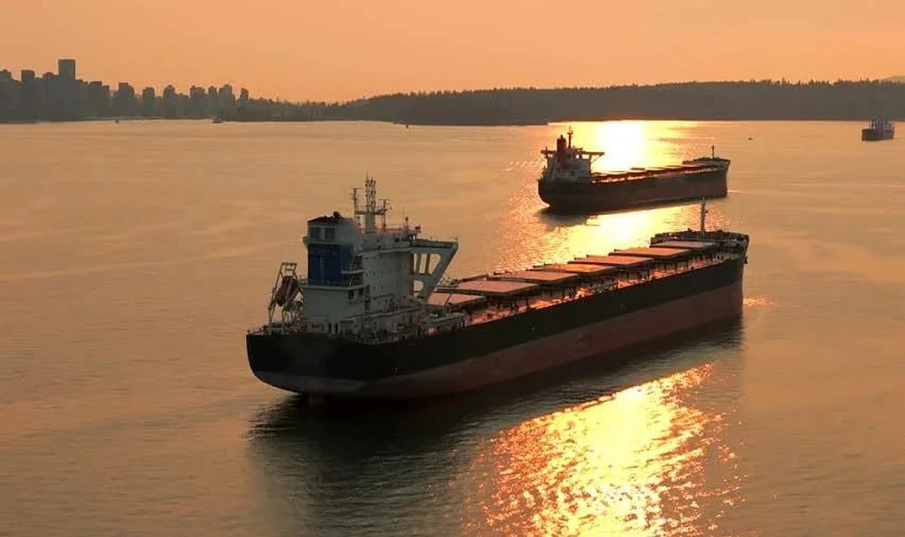 Dökme Yük Gemisi Pazarı