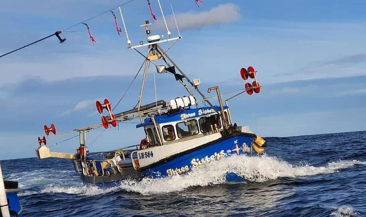 Küresel Balık Ürünleri Ticareti