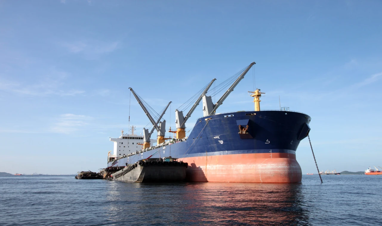 Navlun Piyasası Raporu