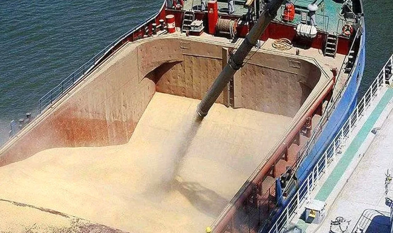 Tuna Navlun Piyasası