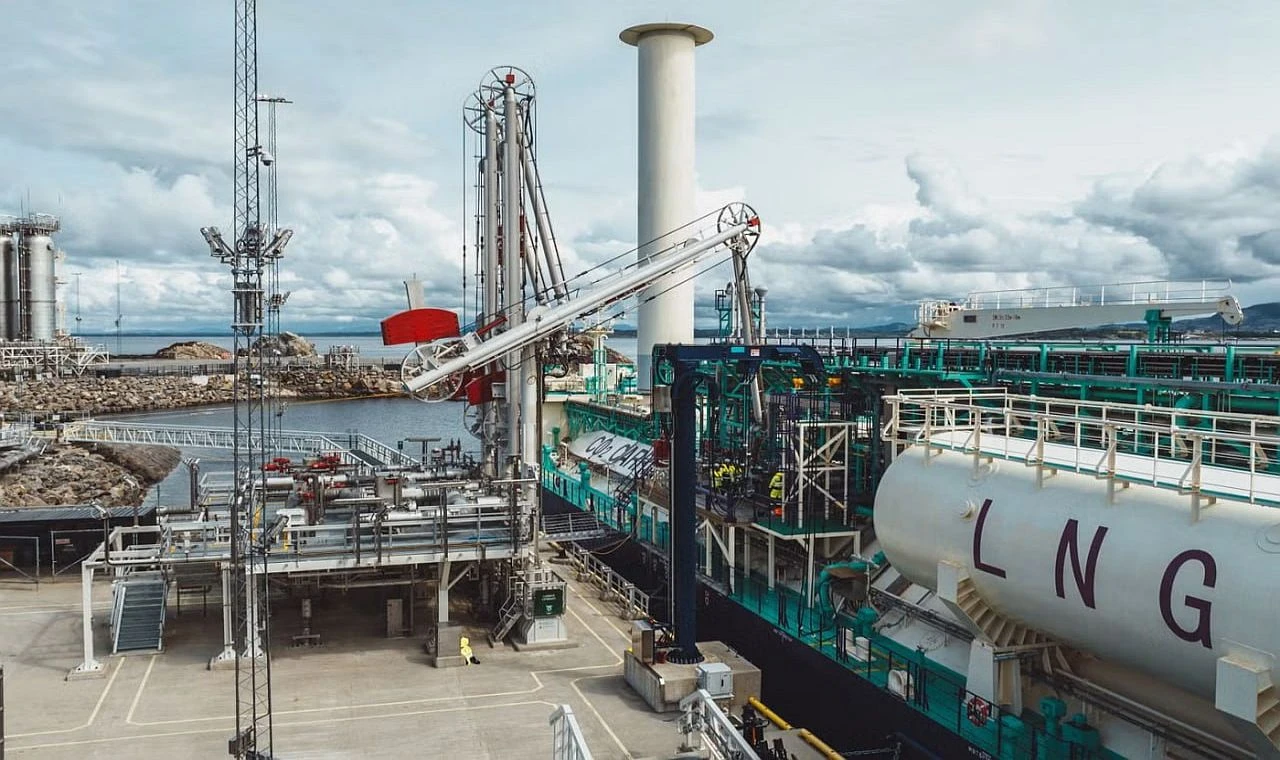 Gemi Sahiplerini Seçti