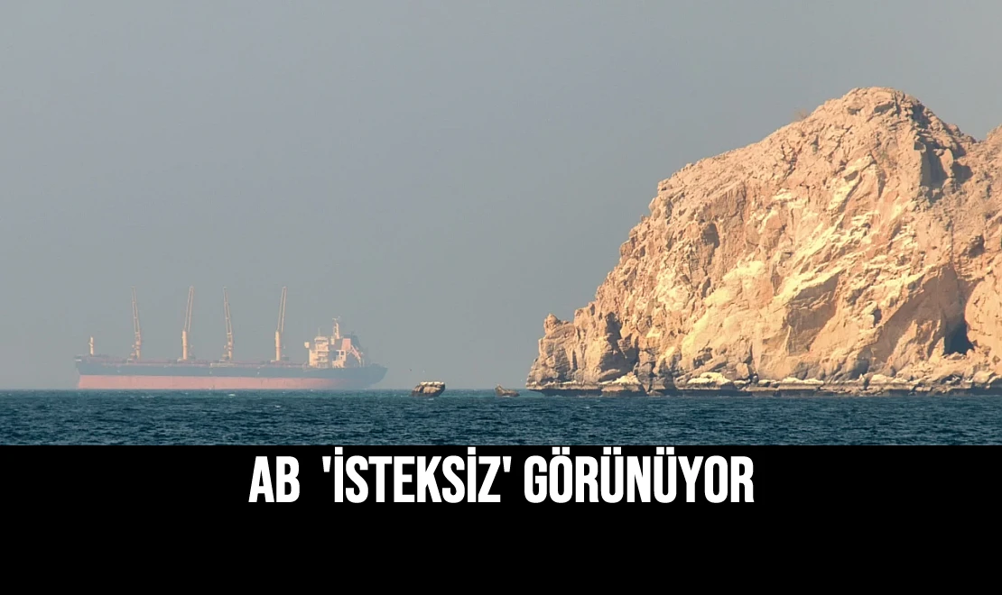 AB 'İsteksiz' Görünüyor