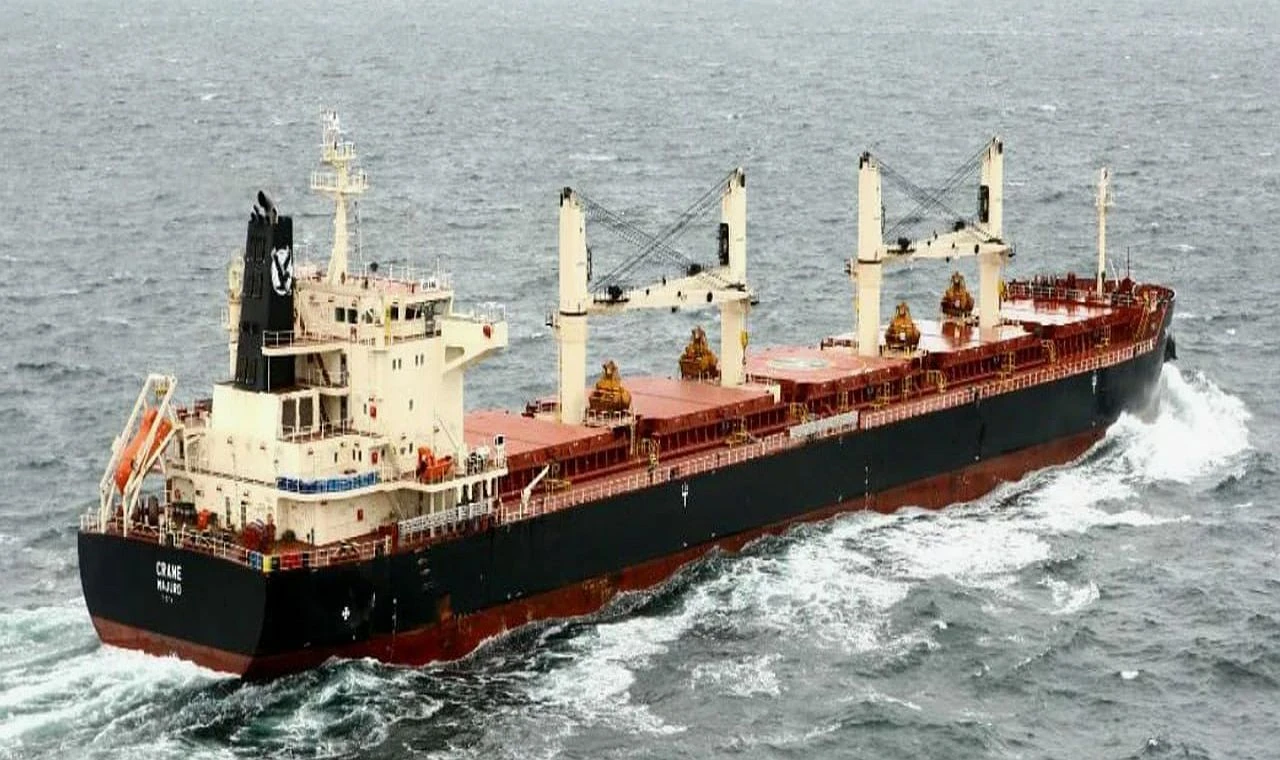 Dökme Yük Gemisi Filosu