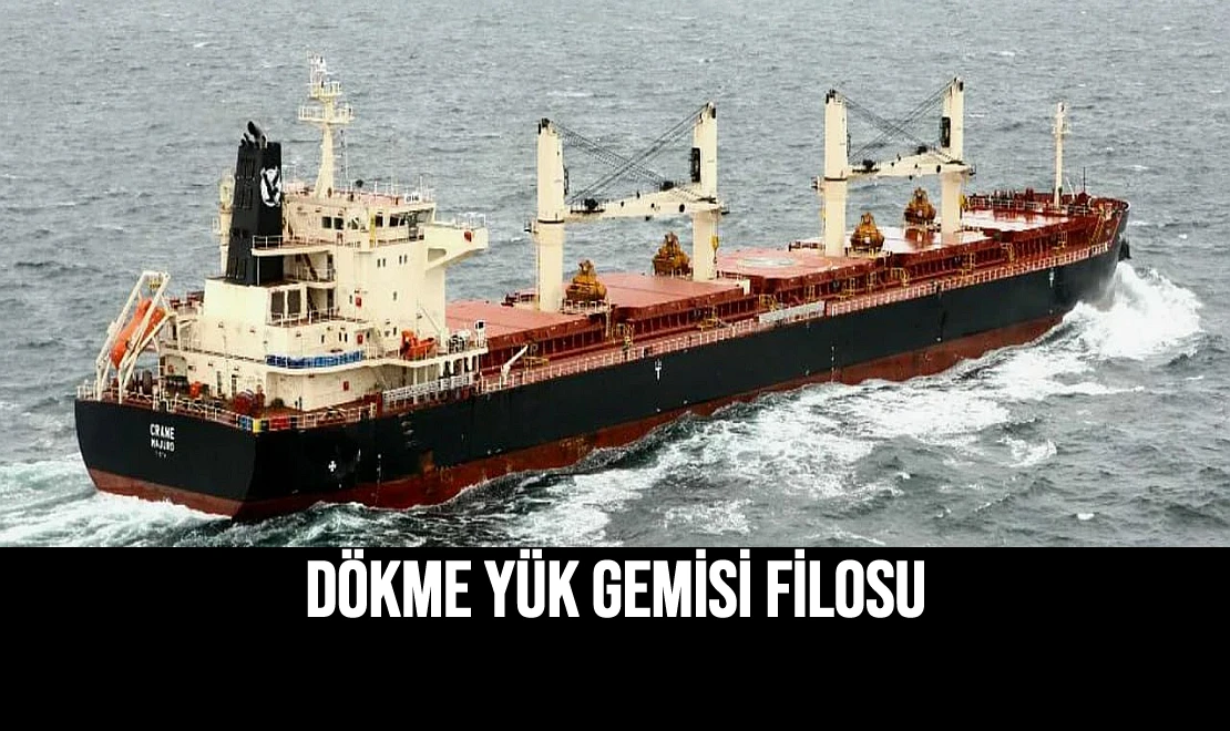 Dökme Yük Gemisi Filosu