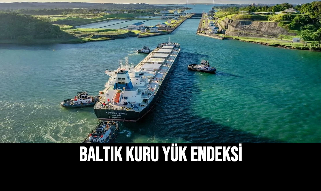 Baltık Kuru Yük Endeksi