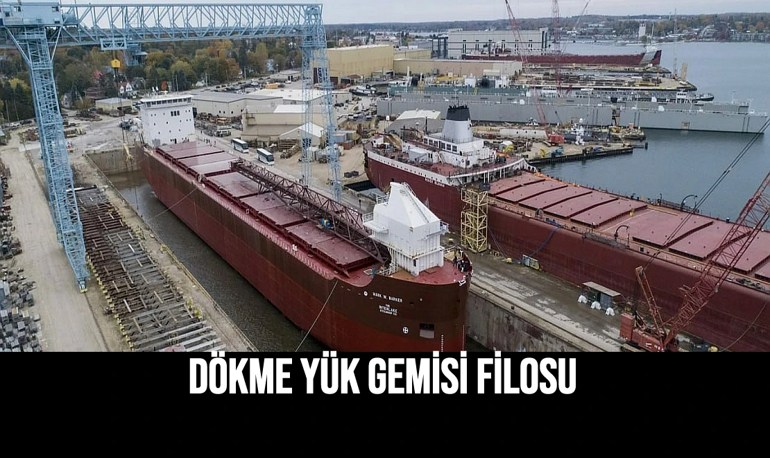 Dökme Yük Gemisi Filosu