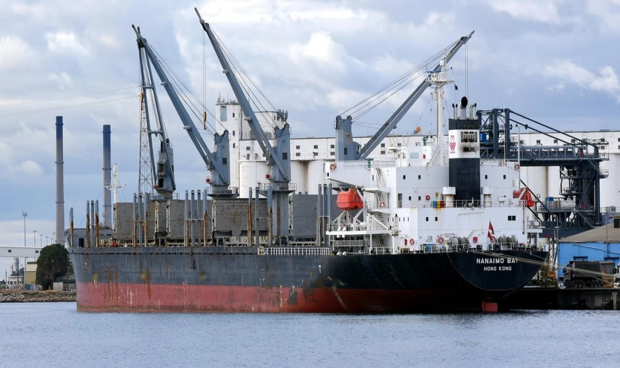 Dökme Yük Gemisi Pazarı