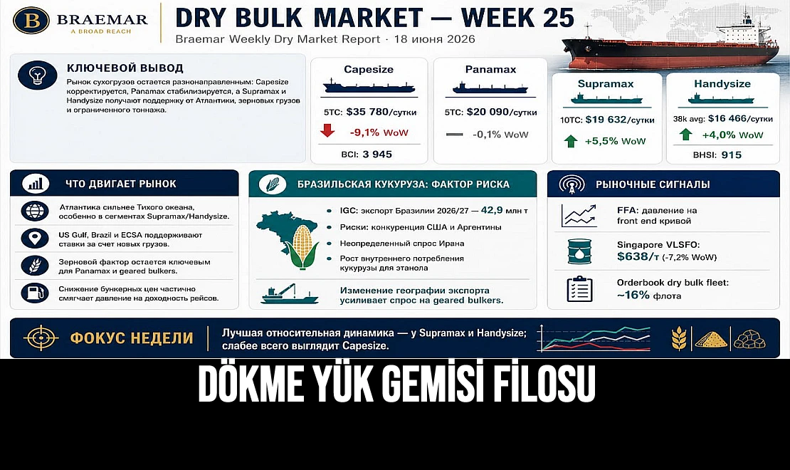 Dökme Yük Gemisi Filosu