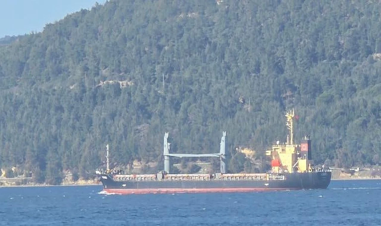 Tahıl Taşımacılığı Piyasası