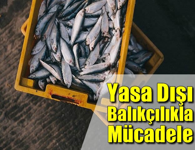 Yasa Dışı Balıkçılıkla Mücadele